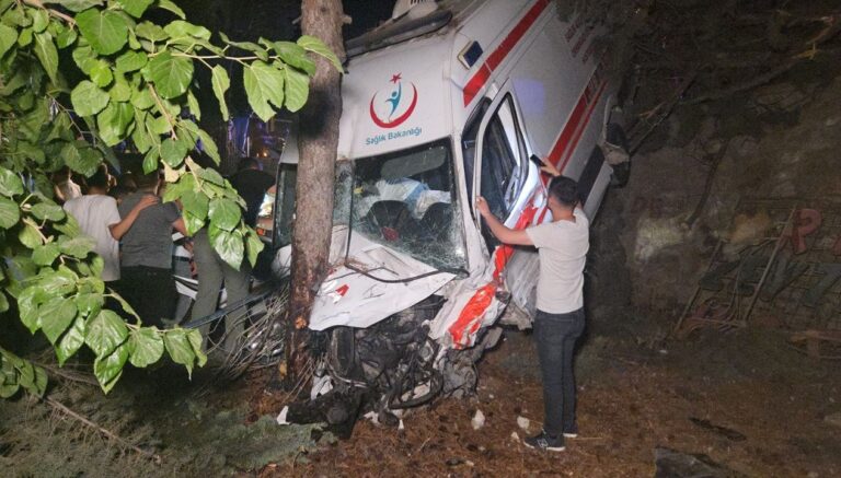 ambulans kamyonetle carpisip bahceye uctu 1 olu 5 yarali 5ljmQgF2