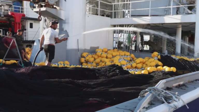 balikcilar vira bismillah demeye hazirlaniyor W6JkPyC7