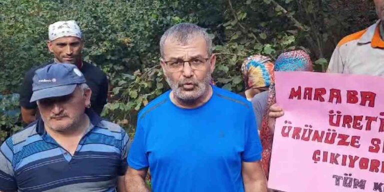 findikta belirlenen fiyat ureticiyi memnun etmedi WzQLqCez