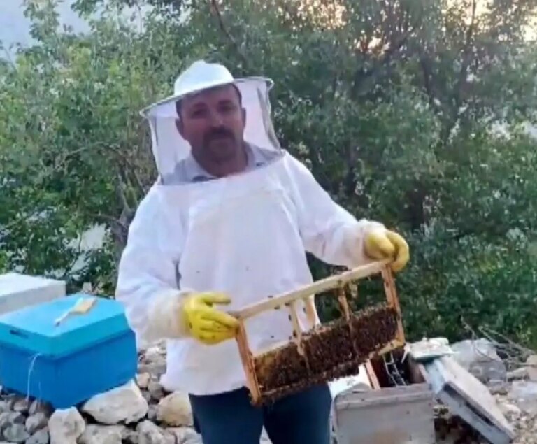 kahramanmarasta ayi saldirisi 10 kovan zarar gordu 7r2y43bI