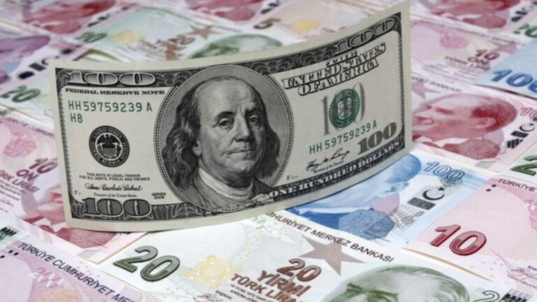 serbest piyasada doviz acilis fiyatlari 11 agustos 2025 XhFjzr1E