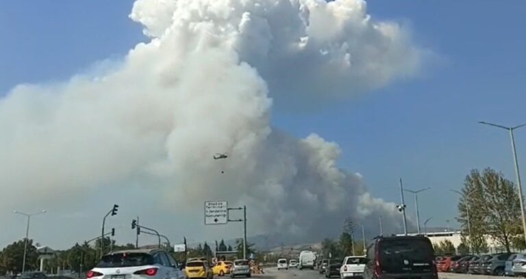 bursada orman yangini ekipler mudahale ediyor 4544DqxS