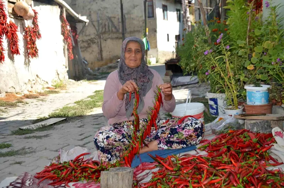 cukurorenin kirmizi altini 160 yillik biber uretimi eWOWelOO