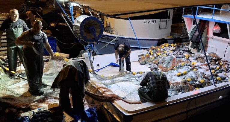 denize acilan balikcilar bir gecede milyoner oldu jJOa2B7H