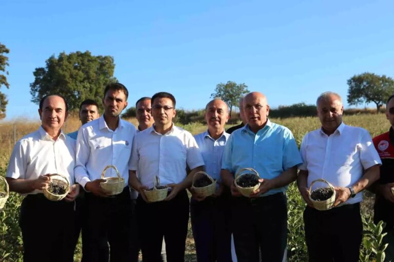 gonende aronya hasadi programi jBisDvj5