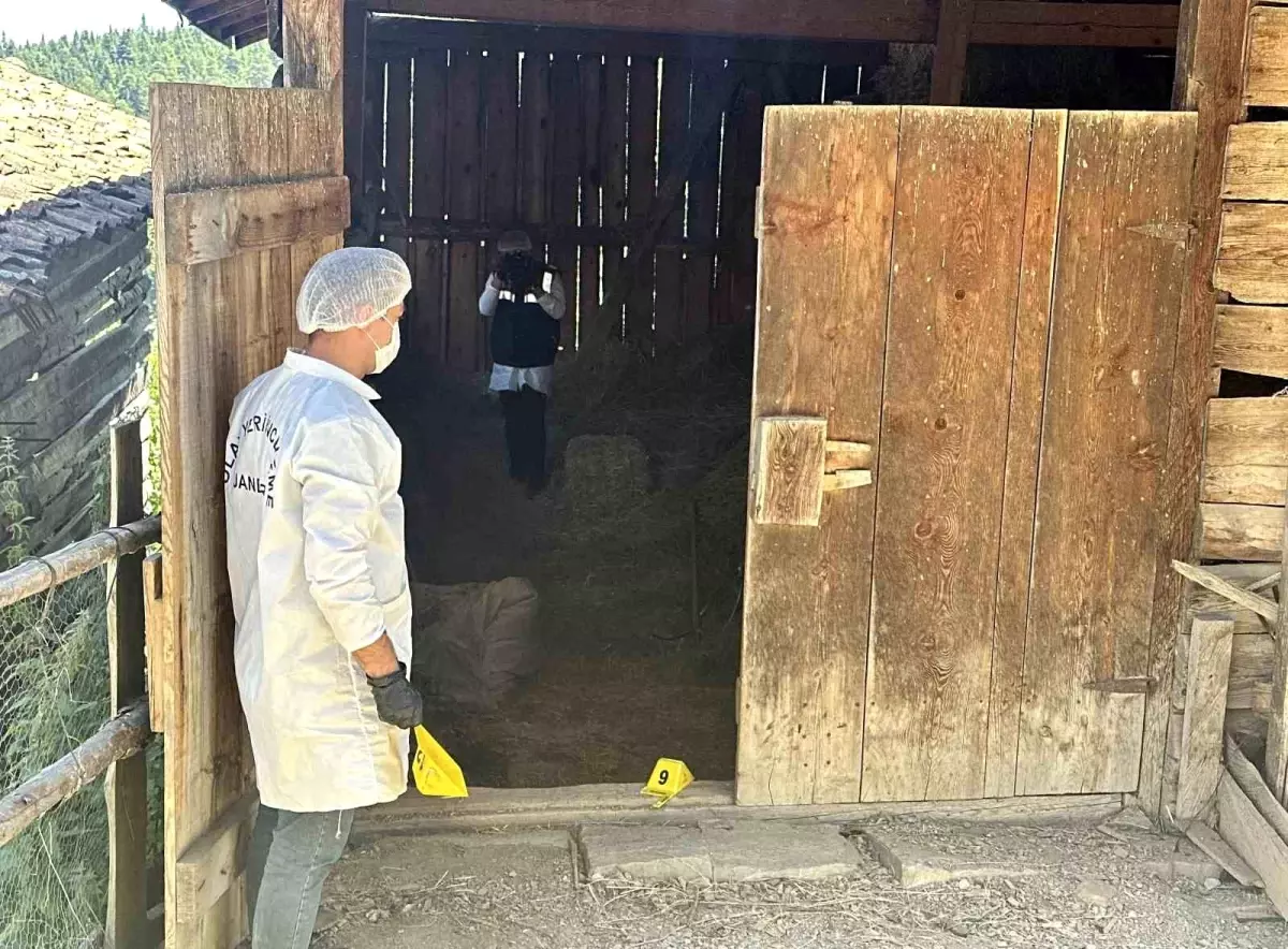 kastamonuda kasten oldurme davasi devam ediyor lTCQ9bdi