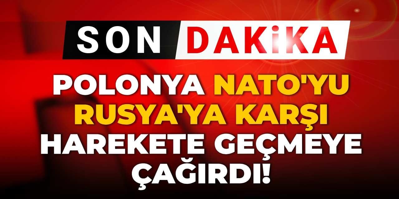 son dakika polonya natoyu rusyaya karsi harekete gecmeye cagirdi xgTfszC8