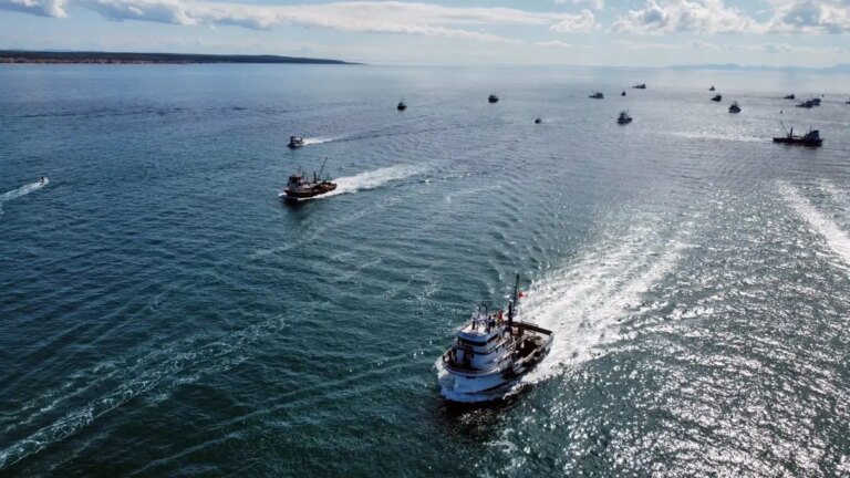 enezde sumud filosuna destek gosterisi X11a41Nv