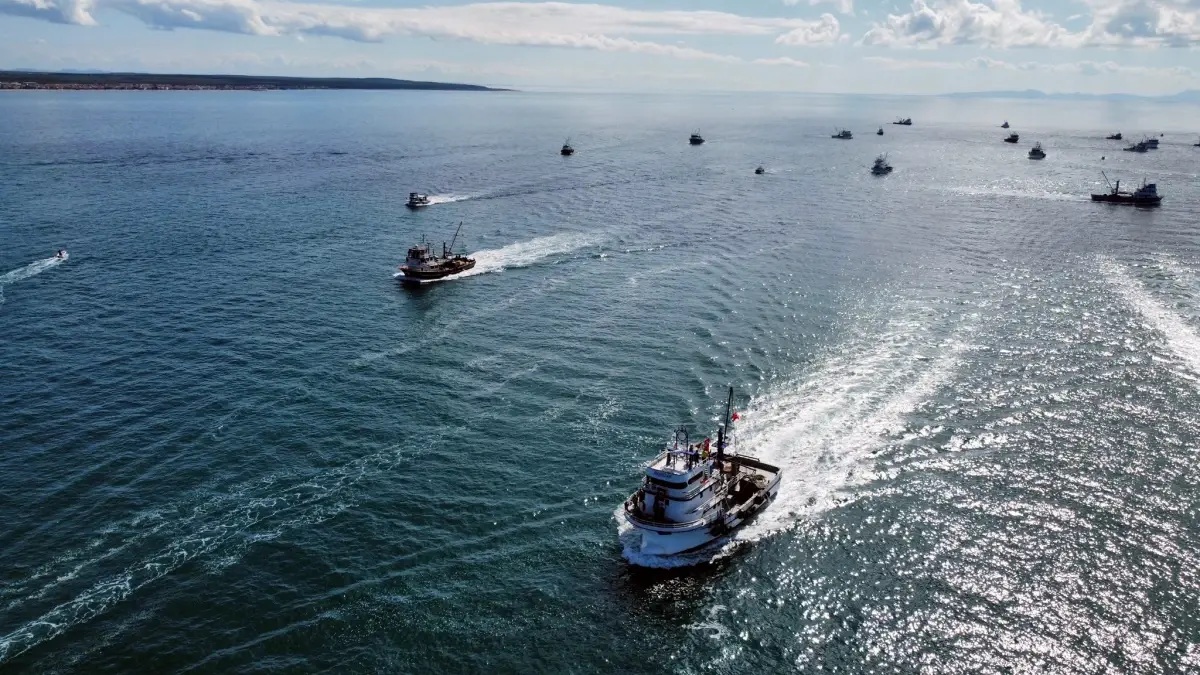 enezde sumud filosuna destek gosterisi X11a41Nv