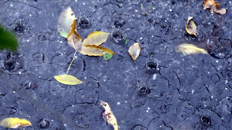 kentlerde kurakliga karsi yagmur suyu hasadi onerisi Yfpc7NYk