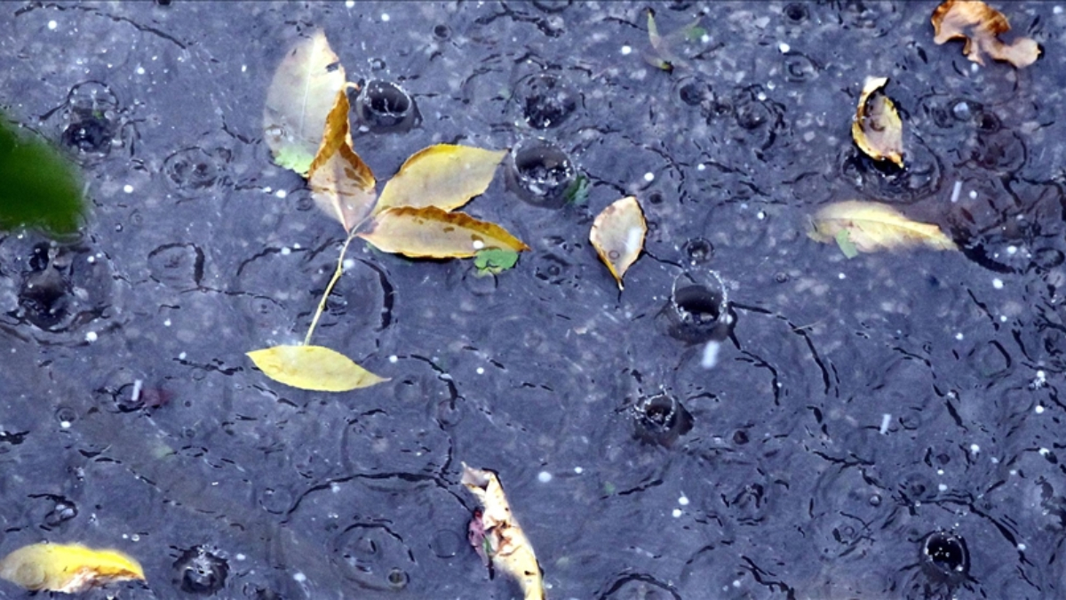 kentlerde kurakliga karsi yagmur suyu hasadi onerisi Yfpc7NYk