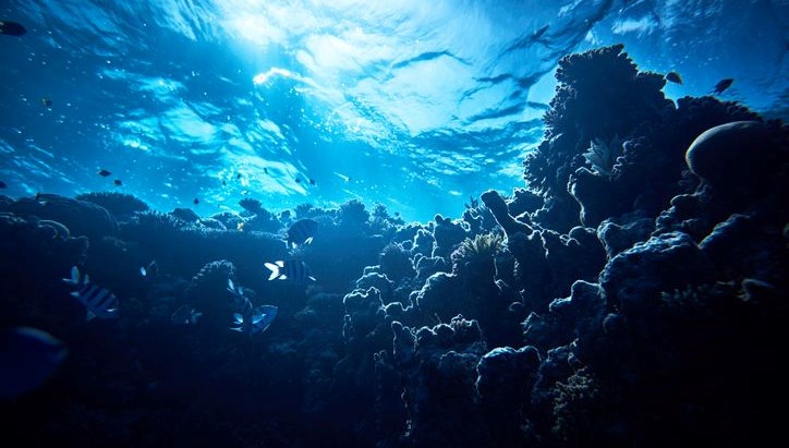 okyanusun altindan siziyor antarktikada sasirtan kesif AWlyCqsw