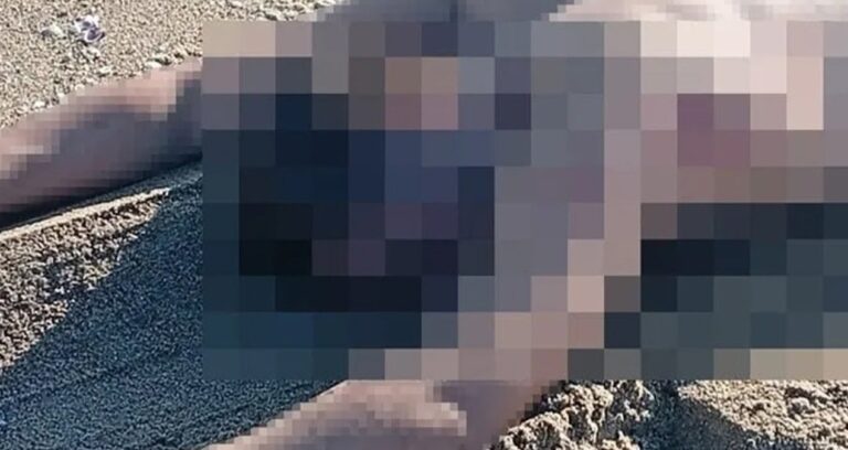 sakaryada vatandaslar fark edip gordu genc erkegin cansiz bedeni bulundu A4LUjaIq