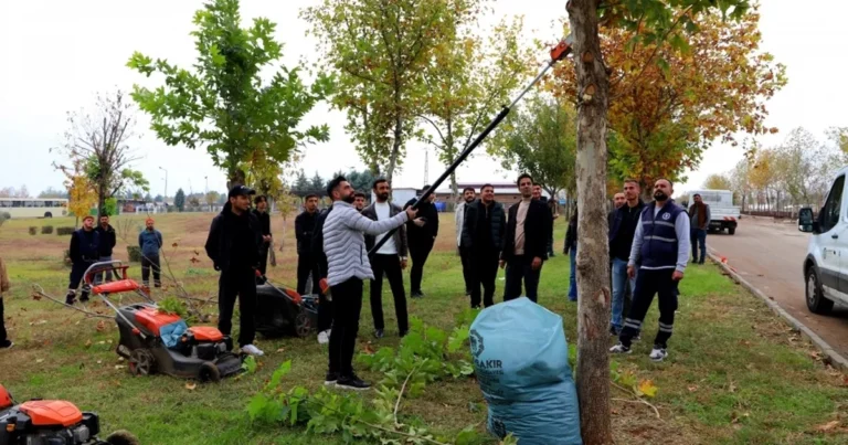 diyarbakirda-universite-ogrencileri-sahada-budama-tekniklerini-uygulamali-ogrendi-lLiN5QVh.webp