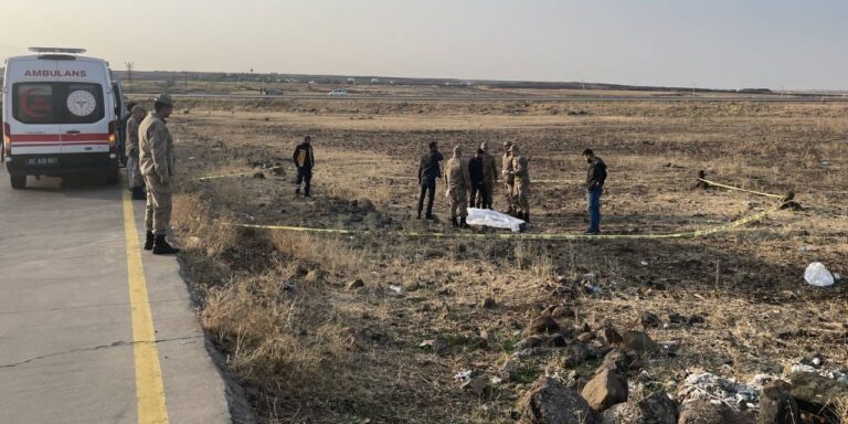 sanliurfada yol kenarinda erkek cesedi bulundu yakininda cok sayida bos kovan cikti yu45WGrF.jpg