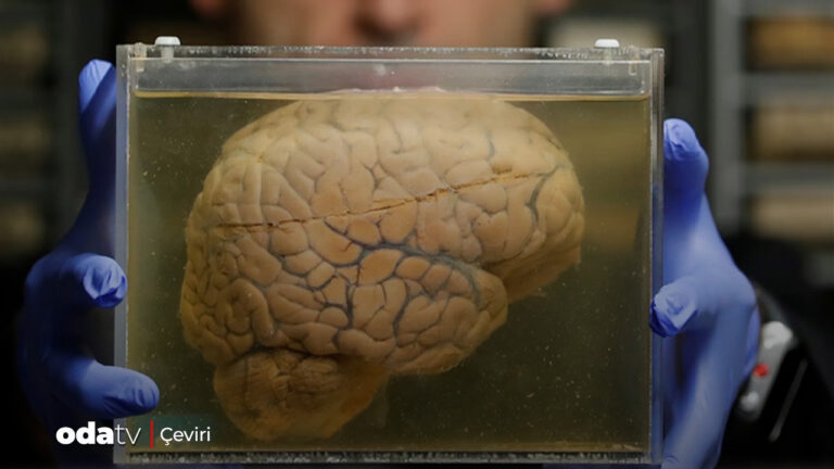 hepsi-bir-binada-binlerce-beyni-depoladilar-bakin-sebebi-ne-L9g16gHt.jpg