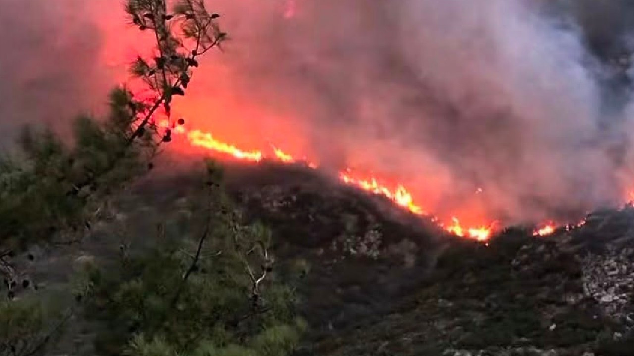 Antalya’nın Kaş ilçesinde orman yangını Antalyanin kas ilcesinde orman yangini xQisj2Cp