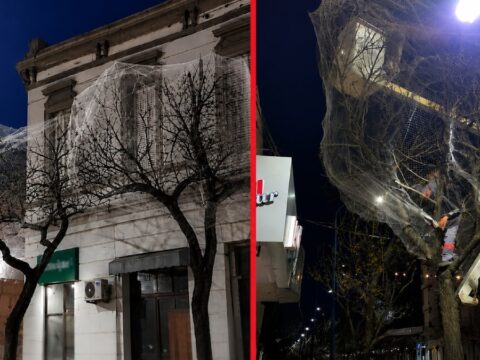 Sehir merkezindeki agaclari tek tek aglarla kapladilar z57gMItl